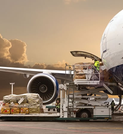 Customs Clearance service by Waxbill